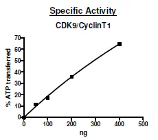 Functional Studies - Recombinant human Cyclin T1 + Cdk9 protein (Active) (GST tag N-Terminus) (AB271464)