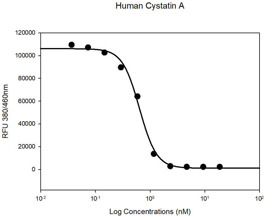 Functional Studies - Recombinant human Cystatin A protein (Active) (AB265857)