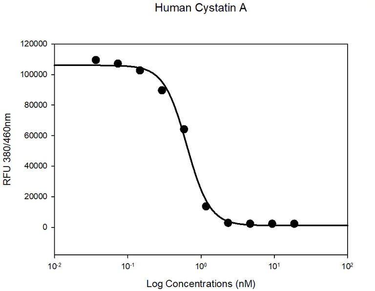 Functional Studies - Recombinant human Cystatin A protein (Active) (His tag N-Terminus) (AB265857)