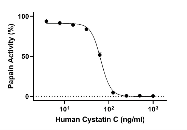 Biological Activity - Recombinant Human Cystatin C Protein (Active) (AB283919)