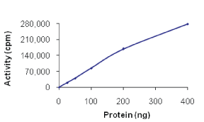 Functional Studies - Recombinant human DAP Kinase 1 protein (AB63191), expandable thumbnail