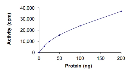 Functional Studies - Recombinant human DAP Kinase 1 protein (AB63191)