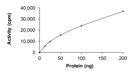 Functional Studies - Recombinant human DAP Kinase 1 protein (GST tag N-Terminus) (AB63191)