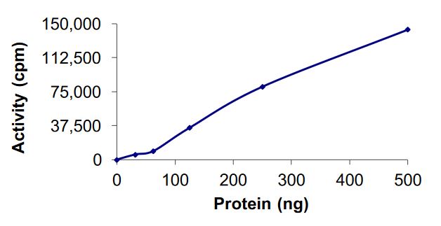 Functional Studies - Recombinant human DCAMKL1 protein (Active) (AB268437), expandable thumbnail
