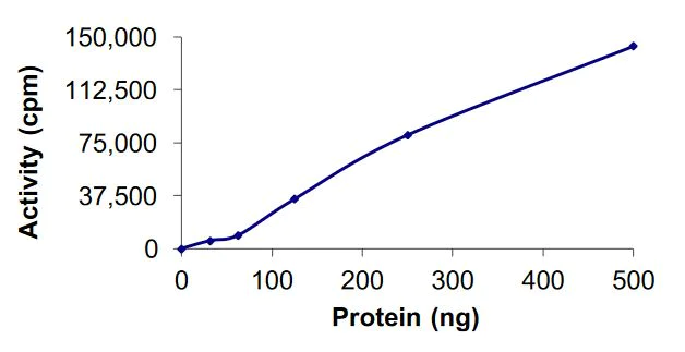 Functional Studies - Recombinant human DCAMKL1 protein (Active) (AB268437)