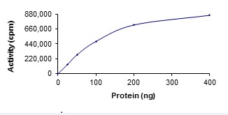 Functional Studies - Recombinant human DCLK2 protein (AB85758)