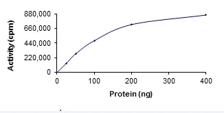 Functional Studies - Recombinant human DCLK2 protein (AB85758)