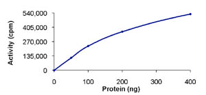 Functional Studies - Recombinant human DCLK2 protein (GST tag N-Terminus) (AB85758)