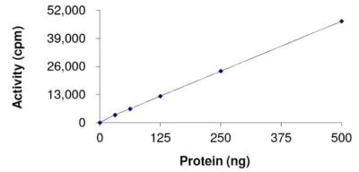 Functional Studies - Recombinant human DDR2 (mutated T654M) protein (AB179952)
