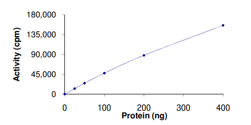 Functional Studies - Recombinant human DDR2 protein (AB96401), expandable thumbnail