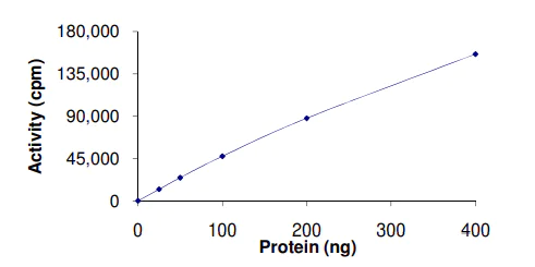 Functional Studies - Recombinant human DDR2 protein (AB96401)