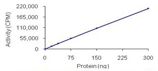 Functional Studies - Recombinant human DDR2 protein (AB96401), expandable thumbnail