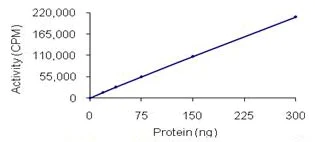 Functional Studies - Recombinant human DDR2 protein (AB96401)