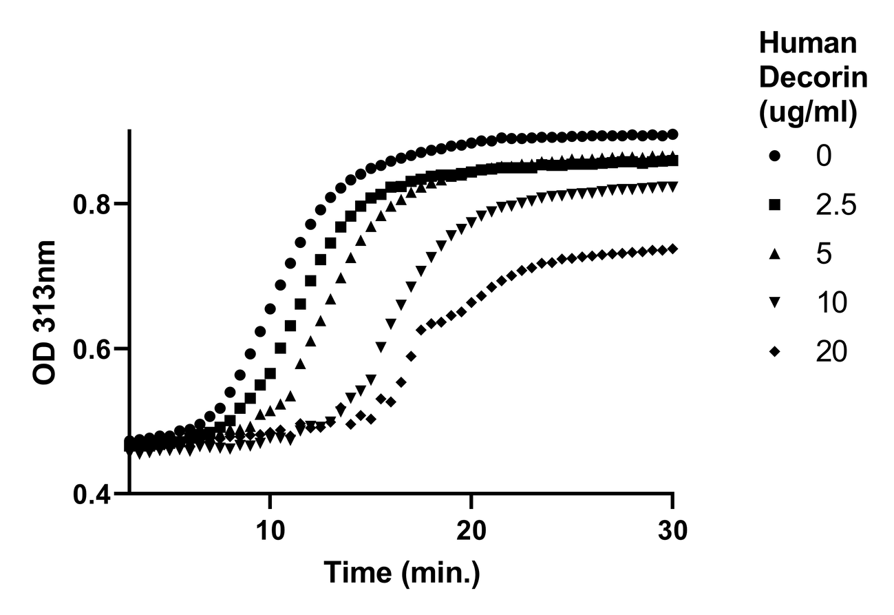 Biochemical assay - Recombinant Human Decorin protein (Active) (AB283431), expandable thumbnail