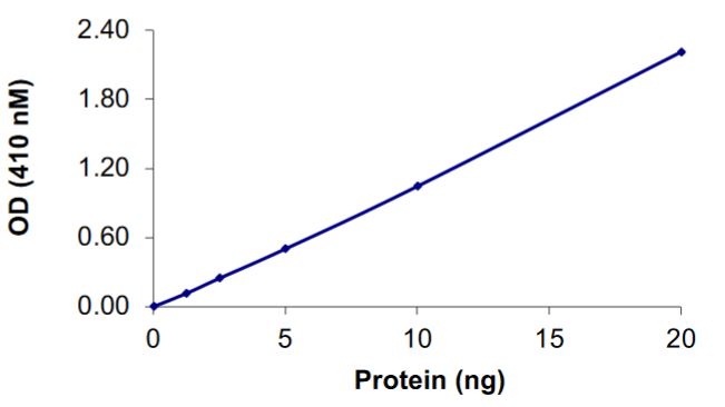 Recombinant human DEP1 protein (Active)