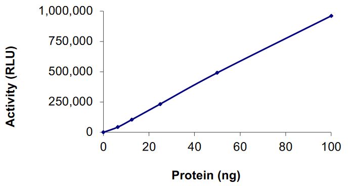 Recombinant human DGKA protein (Active)