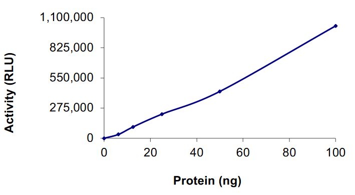 Functional Studies - Recombinant human DGKA protein (Active) (AB268441), expandable thumbnail
