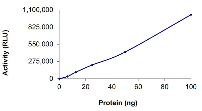 Functional Studies - Recombinant human DGKA protein (Active) (AB268441)
