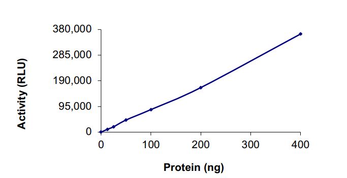 Recombinant human DGKE protein (Active)