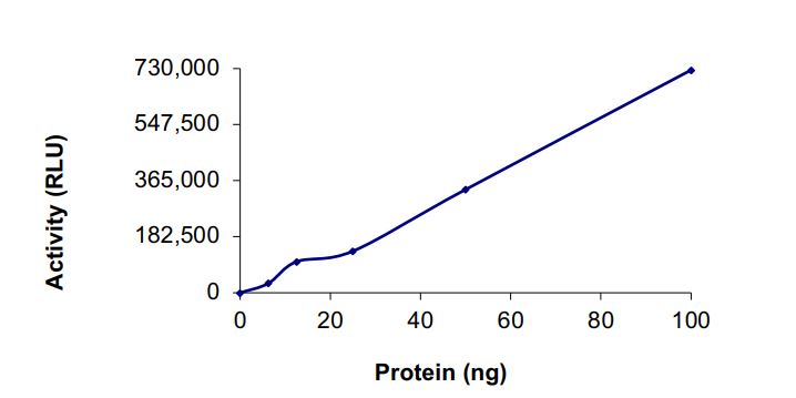Functional Studies - Recombinant human DGKZ/DGK-zeta protein (Active) (AB268445), expandable thumbnail