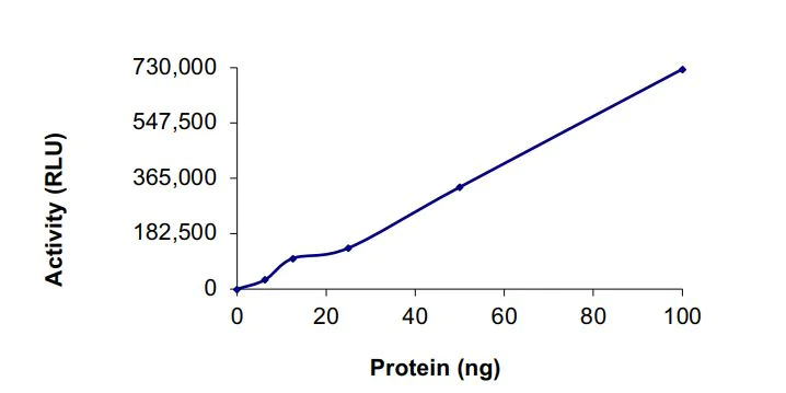 Functional Studies - Recombinant human DGKZ/DGK-zeta protein (Active) (AB268445)