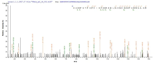 Mass Spectrometry - Recombinant Human DLL3 protein (His tag) (AB241447)