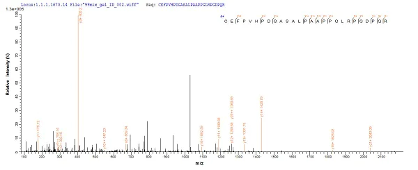 Mass Spectrometry - Recombinant Human DLL3 protein (His tag) (AB241447)