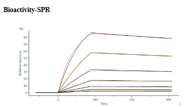 Functional Studies - Recombinant Human DLL3 protein (His tag) (AB255797)