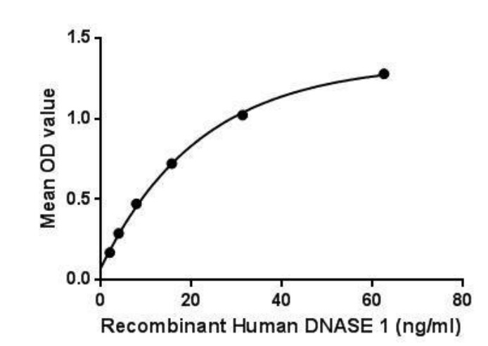 Functional Studies - Recombinant human DNase I protein (Active) (AB275555)