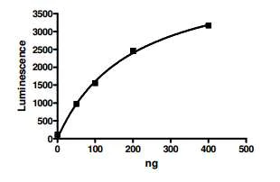 Functional Studies - Recombinant Human Dnmt1 protein (AB198140)