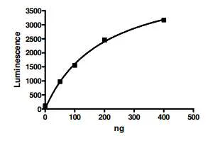 Functional Studies - Recombinant Human Dnmt1 protein (GST tag N-Terminus) (AB198140)