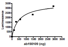 Functional Studies - Recombinant human Dnmt1 protein (AB198109)