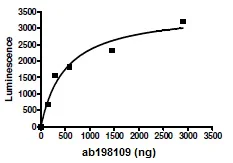 Functional Studies - Recombinant human Dnmt1 protein (His-DDDDK tag N-Terminus) (AB198109)