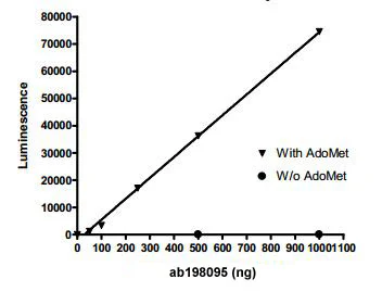 Functional Studies - Recombinant human DNMT3A + DNMT3L protein (GST tag N-Terminus, His tag N-Terminus) (AB198095)