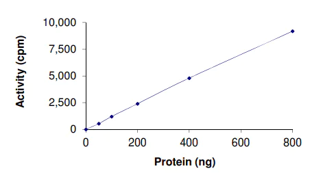Functional Studies - Recombinant human Dnmt3a protein (AB170408)