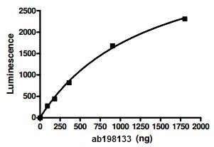 Functional Studies - Recombinant human DNMT3B + DNMT3L protein (AB198133), expandable thumbnail