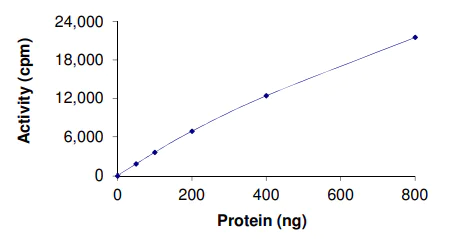 Functional Studies - Recombinant human Dnmt3b protein (AB170410)