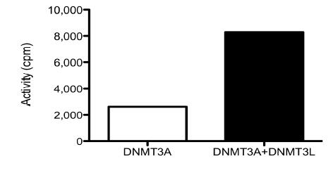 Functional Studies - Recombinant human Dnmt3L protein (AB170406), expandable thumbnail