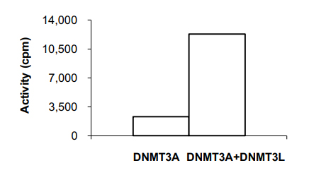 Functional Studies - Recombinant human Dnmt3L protein (AB170406), expandable thumbnail