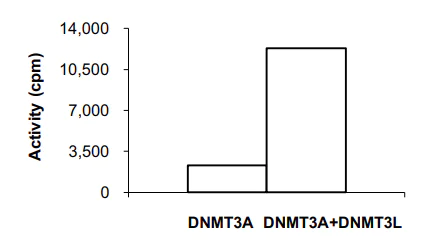 Functional Studies - Recombinant human Dnmt3L protein (AB170406)