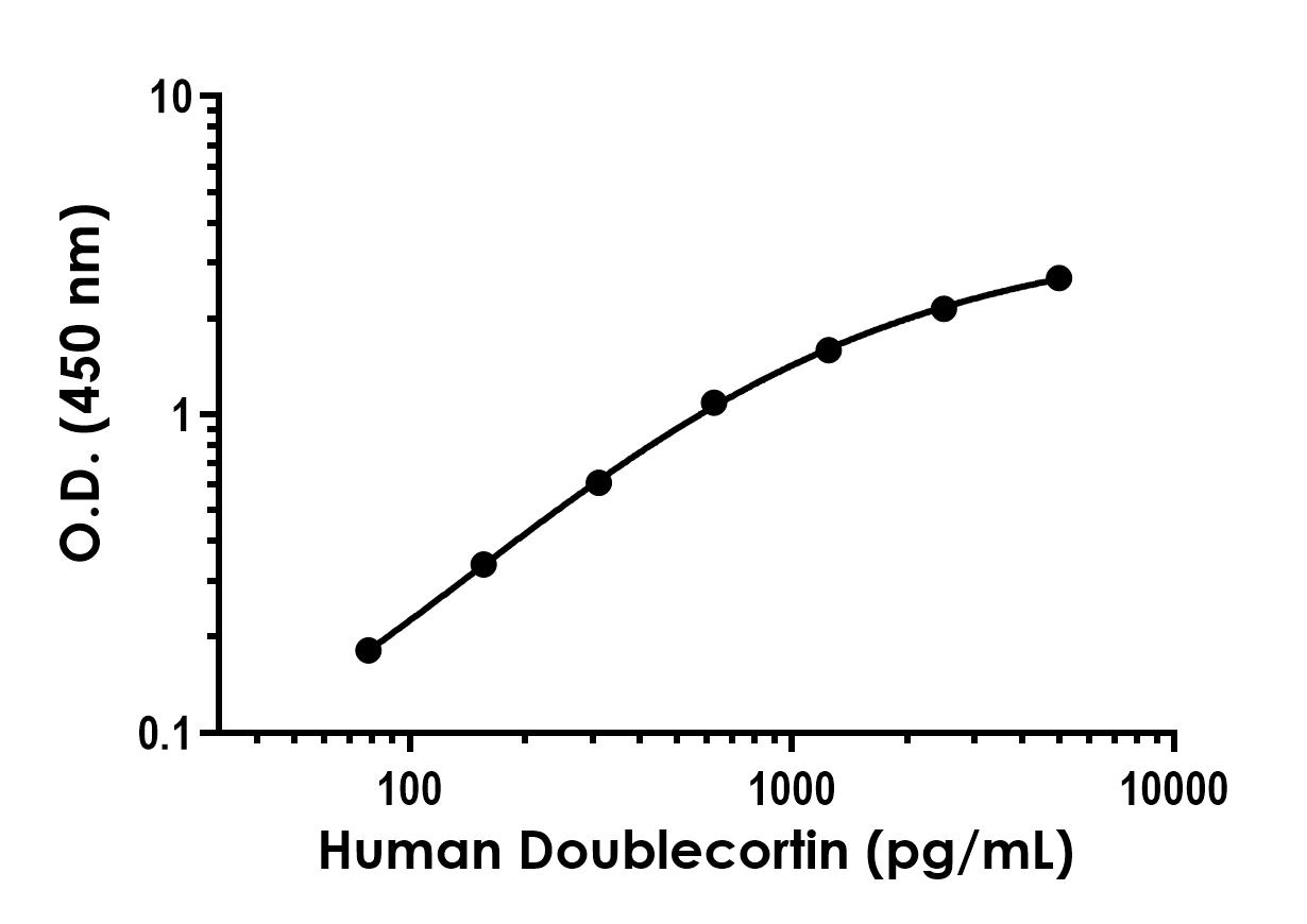 Sandwich ELISA - Recombinant Human Doublecortin Protein Standard (His tag) (AB316483), expandable thumbnail