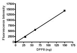 Functional Studies - Recombinant human DPP8 protein (GST tag N-Terminus + His tag N-Terminus) (AB79662)