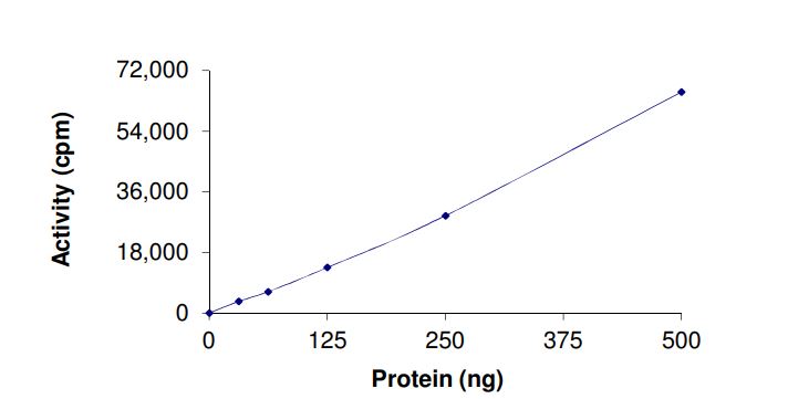 Recombinant human DRAK2 protein (Active)