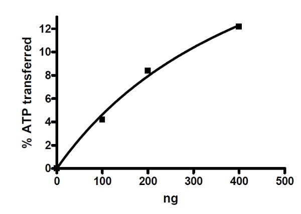 Recombinant human DRAK2 protein (Active)