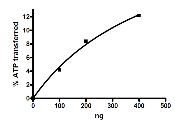Functional Studies - Recombinant human DRAK2 protein (Active) (AB271489)