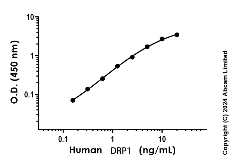 Sandwich ELISA - Recombinant Human DRP1 Protein Standard (His tag) (AB323076)