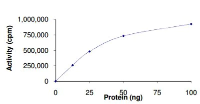 Functional Studies - Recombinant human DYRK2 protein (AB133138)