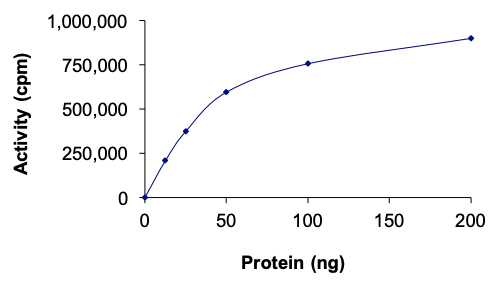 Recombinant human DYRK2 protein
