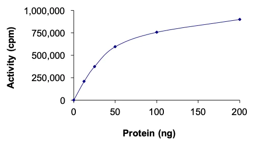 Functional Studies - Recombinant human DYRK2 protein (AB133138)
