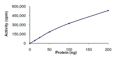 Functional Studies - Recombinant human DYRK3 protein (AB135222)